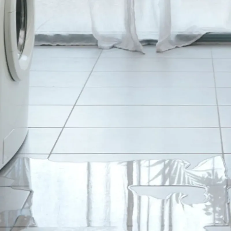 Appliance Leak Cleanup in Orwell, OH