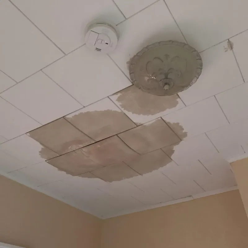 Ceiling Water Damage Repair in Orwell, OH