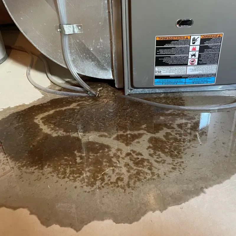 Pipe Burst and Leak Restoration in Orwell, OH