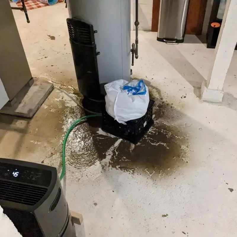 Sewage Backup Cleanup Service in Orwell, OH